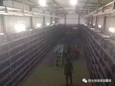 A secure UK mining farm hosting multiple Litecoin miners, emphasizing reliability and advanced infrastructure